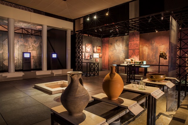 Musée du Pont du Gard